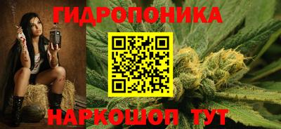 стаф Заводоуковск
