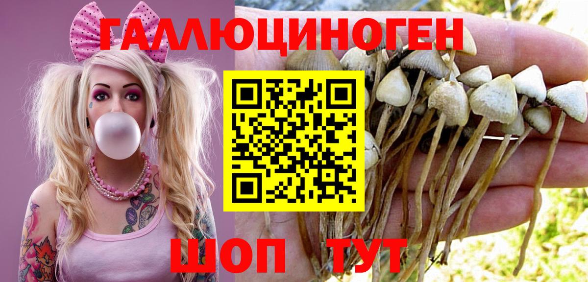 Галлюциногенные грибы ЛСД  Вход с VPN  Новороссийск 