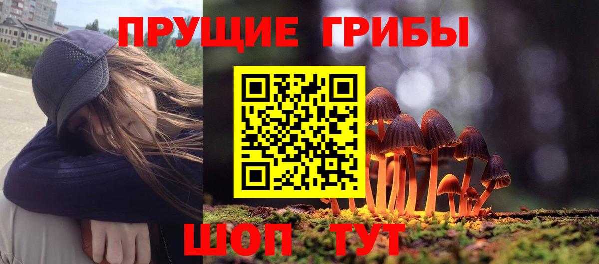 Галлюциногенные грибы GOLDEN TEACHER Новороссийск